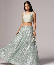Load image into Gallery viewer, Pastel green Sequins Sparkle Lehnga Choli Dupatta