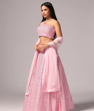 Load image into Gallery viewer, Baby Pink Sequins Sparkle Lehnga Choli Dupatta