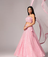 Load image into Gallery viewer, Baby Pink Sequins Sparkle Lehnga Choli Dupatta