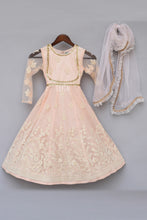 Load image into Gallery viewer, Girls Baby Pink Embroidery Anarkali With Frill Dupatta